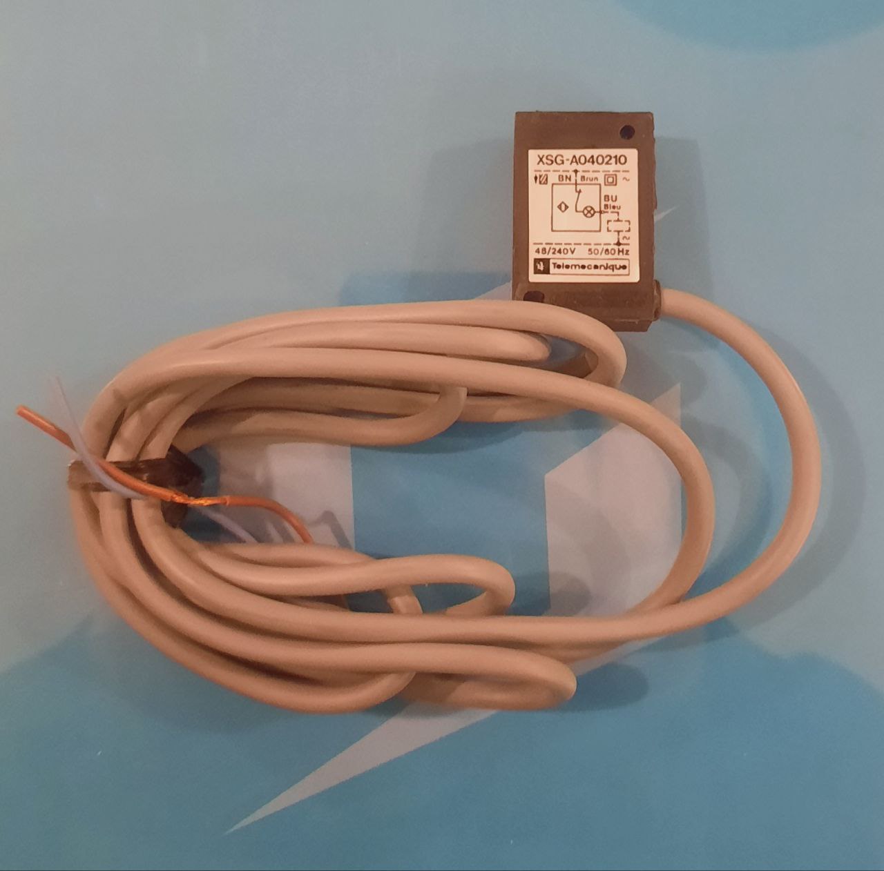 IMG_20250220_103347_931